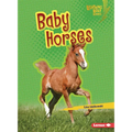 Baby Horses - Paperback