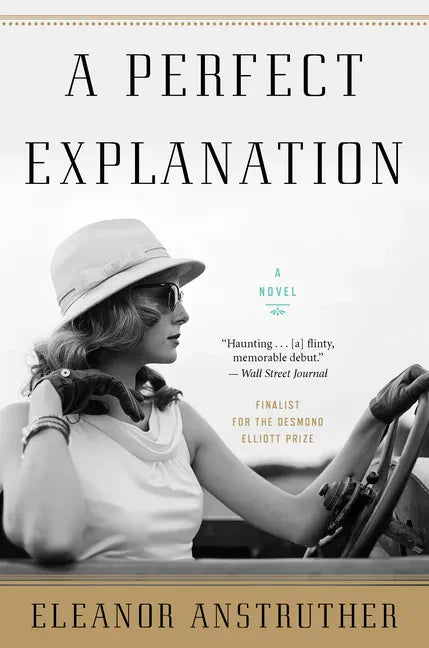 A Perfect Explanation - Paperback