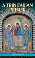 A Trinitarian Primer - Paperback